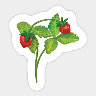 Woodland Wild Strawberry Illustration Sticker